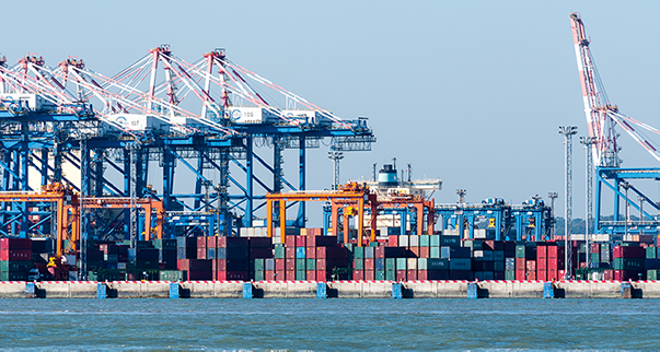 牛宝体育案例 | 助力智慧港口建设，实现“车享其行，物优其流”